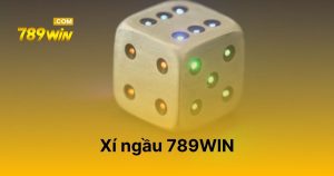 Xí ngầu 789WIN